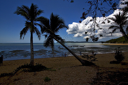 鼻子是船 棕榈环礁湖和海岸线支撑低潮蓝色泡沫小岛植物浅蓝色海滩棕榈衬套图片