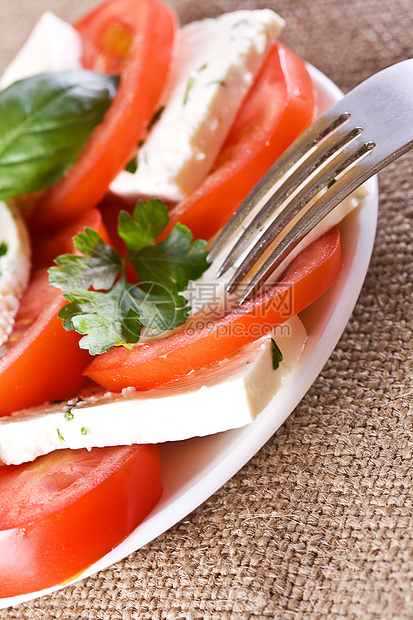 沙拉加番茄和奶酪绿色饮食菜单烹饪香料盘子白色美食绝缘红色图片