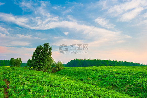 日出时在绿色山地草原上的明亮天空图片