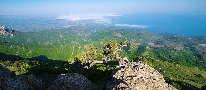 山岳的美丽全景高山石头国家风景爬坡旅行森林悬崖蓝色顶峰图片