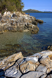 在基西马米湾的石头树木岩石真子海岸线泡沫海洋种植园低潮爬坡小岛图片