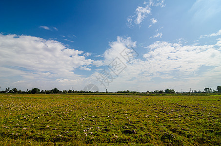 陆地和天空蓝色绿色生态农村环境乡村土地背景图片