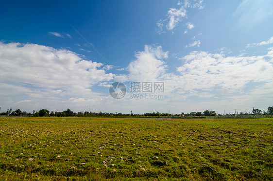 陆地和天空蓝色绿色生态农村环境乡村土地图片