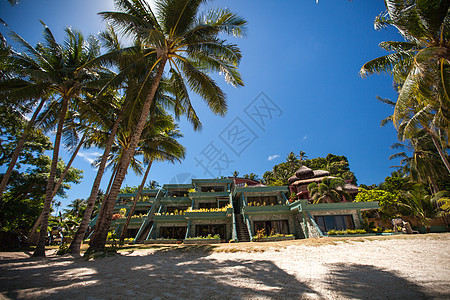 棕榈树海滩风景假期树木蓝色海景太阳椰子奢华旅游图片