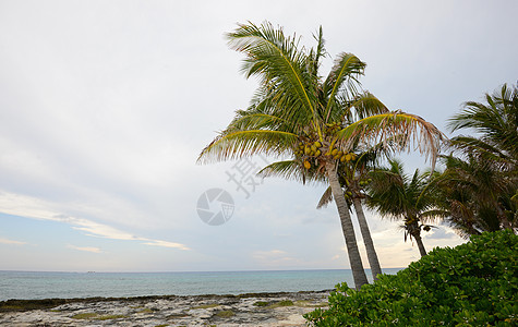 被触碰的热带海滩海洋天空海景海岸线植被树木风景蓝色波纹旅游图片