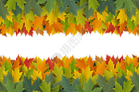 秋季边境设计图片