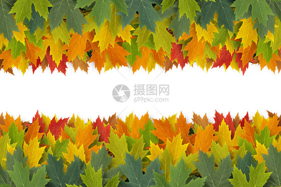 秋季边境设计图片
