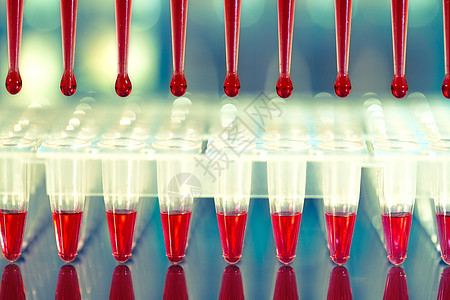 PCR DNA放大工具 96口径板和自动技术科学多孔测试样本验血生物蓝色下一代遗传学图片