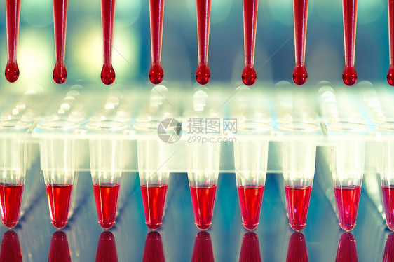 PCR DNA放大工具 96口径板和自动技术科学多孔测试样本验血生物蓝色下一代遗传学图片