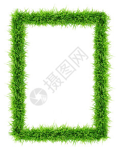 草根框架相框草地正方形场地植物叶子长方形绿色草皮镜框图片