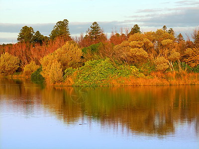 澳大利亚湖荒野蓝色池塘反射植被栖息地旅行生态植物场景图片