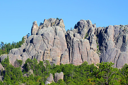 黑山国家森林崎岖荒野树木岩石针叶树松树生态风景石头场景图片