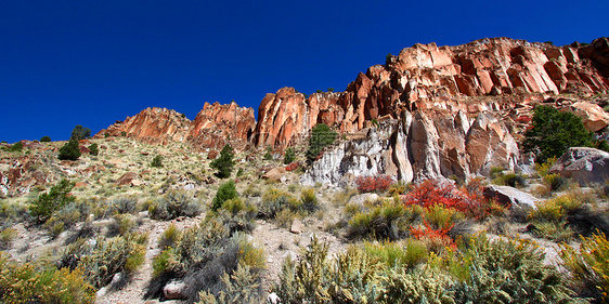 犹他州的野花和洛基断崖悬崖生态环境风景地形杂草岩石巨石荒野场景图片