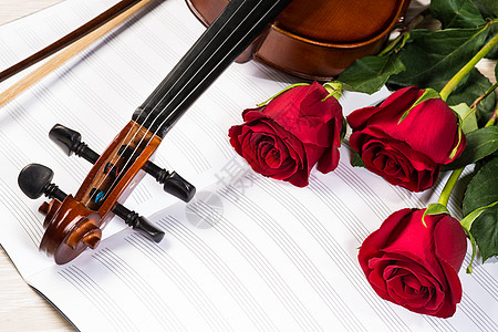 Violin 玫瑰和音乐书籍艺术性旋律细绳古董歌曲仪式木头作品手臂花朵图片