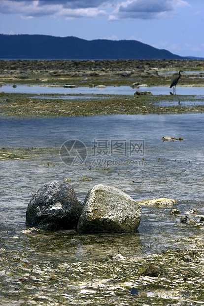 以沸水中的岩石为例图片