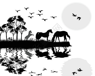 水黑色背景美丽地貌的野马插画