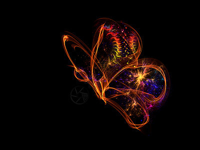 蝴蝶设计火焰创造力轻轨装饰品插图数学昆虫元素图片