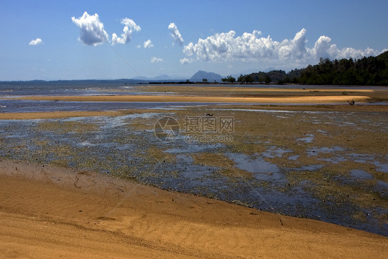 lokobe 保留区疯人院衬套海藻支撑植物小岛天空树木木头浅蓝色波浪图片