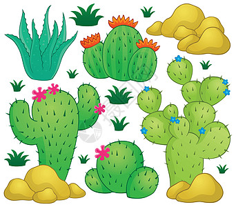 Cactus 主题图像 1图片