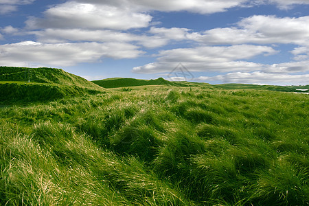 Ballybunion高尔夫球场沙丘上的高绿色青草图片