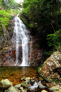 热带森林 带瀑布图片