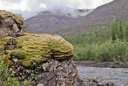 岩石 覆盖着苔胱公园顶峰运动背包森林旅行冒险荒野高原旅游图片