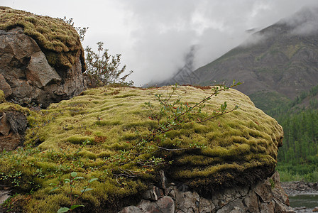 岩石 覆盖着苔胱公园顶峰旅行石头自然保护区背包森林峡谷高原旅游图片