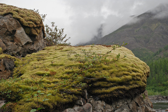 岩石 覆盖着苔胱公园顶峰旅行石头自然保护区背包森林峡谷高原旅游图片