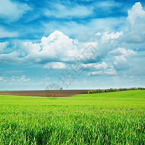 绿绿地和阴云的天空远景生长植物群季节蓝色场景土地天气空气天堂图片