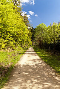 登山旅行小道Eifelsteig上树叶踪迹树冠丛林足迹小路绿色远足木头树木图片