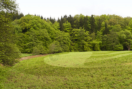 登山旅行小道Eifelsteig上远足丛林草地树木叶子足迹踪迹山毛榉森林树叶图片