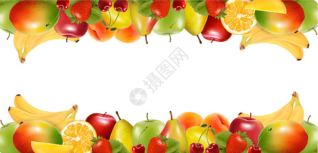 两条边界由美味的成熟水果制成 矢量图片