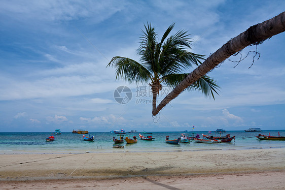 带棕榈的热带热带海滩血管天空旅行风景海景蓝色椰子太阳海岸晴天图片