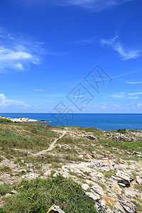 泰国沙美岛植被反射叶子阳光海滩海岸线天空植物石头热带图片