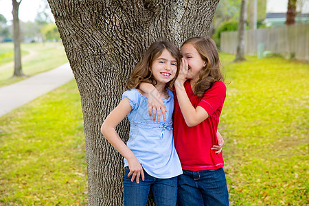 女孩们在公园树上耳边低语花园家庭耳朵蓝色童年乐趣孩子们朋友们森林草地图片