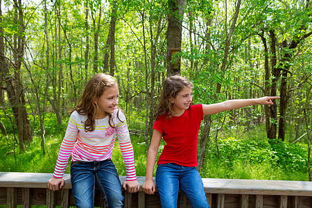 儿童朋友玩把手指指向丛林公园的游戏家庭公园眼睛童年树木蓝色女性朋友们森林草地图片