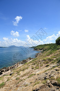 泰国沙美岛植物群石头冲浪树叶环境叶子植物青色海岸线蓝色图片