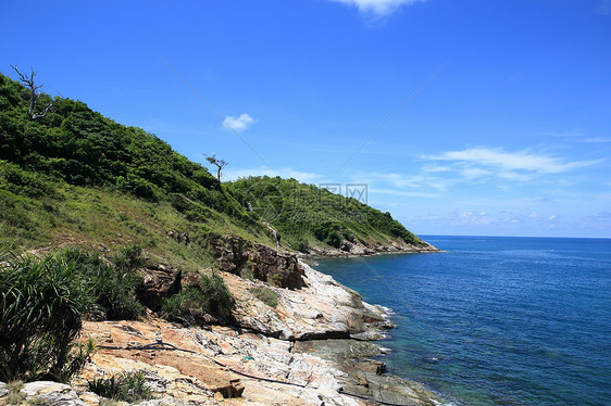 泰国沙美岛石头天空热带阳光植物青色植物群树叶支撑地平线图片