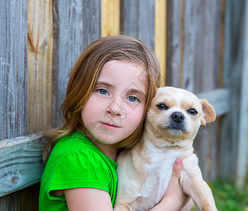 金发快乐的女孩 带着她的吉华华小狗肖像吉祥物眼睛童年犬类栅栏女性宠物孩子幸福拥抱图片