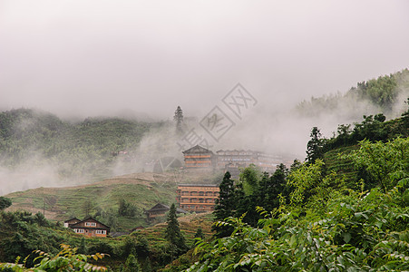 山中的雾雾树木水平山脉旅游彩色照片风景图片