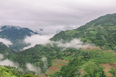 山中的雾雾彩色水平风景树木旅游山脉照片图片