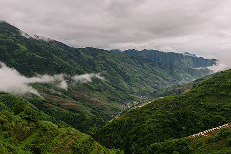 山中的雾雾照片树木彩色水平旅游山脉风景图片