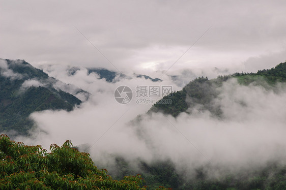 山中的雾雾照片山脉树木水平彩色旅游风景图片