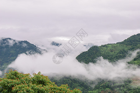 山中的雾雾风景山脉水平照片树木旅游彩色背景图片