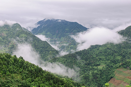 山中的雾雾山脉树木照片风景水平旅游彩色图片