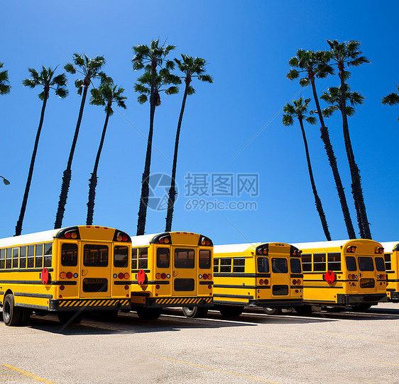 与加利福尼亚棕榈树相片挂载的校车列图片