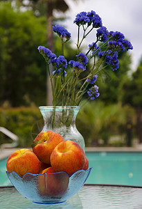 游泳池旁的花朵和桃子图片