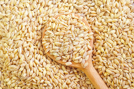小麦薏米玻璃谷物农业浆果金子早餐植物大麦收获图片