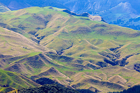 农场地貌景观场景 Hawkes Bay 新西兰编队丘陵孤独山坡地形崎岖农村岩石荒野环境图片