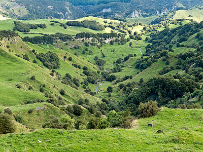 农场地貌景观场景 Hawkes Bay 新西兰丘陵地形编队环境荒野岩石农业山坡农村图片